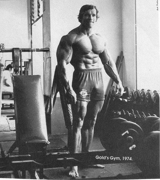      Gold's Gym, 1974 .