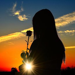 Diva, �����