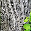 ������� �� ������� ���� ����������