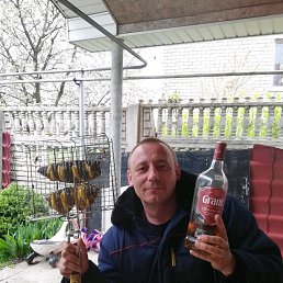 �������, �����, 44 ����