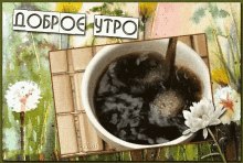 ���� Dina, ���������, 50 ��� - ��������� 8 ����� 2020