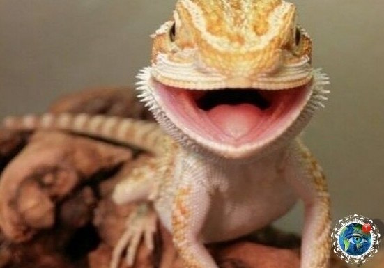 pècìoòpèòåcü! aê ïpåêpacía æèçíü ! ÓËÛÁÈÑÜ è ÈÐ ÓËÛÁÒÑß òåáå â oòâåò! #ïëàíåòà