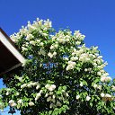 ���� ��������, Kouvola, 78 ��� - ��������� 17 ���� 2020 � ������ ������