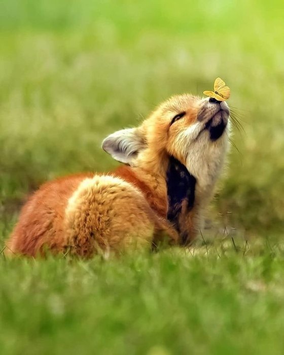   !)