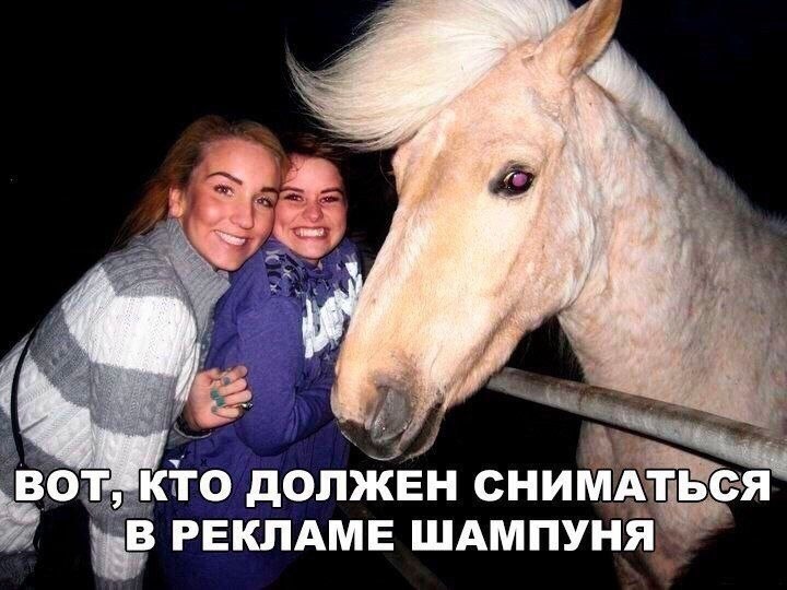 ������� - 17 ������ 2020 � 18:27