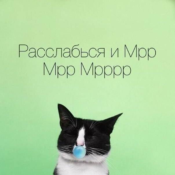 po  oe e oo. .