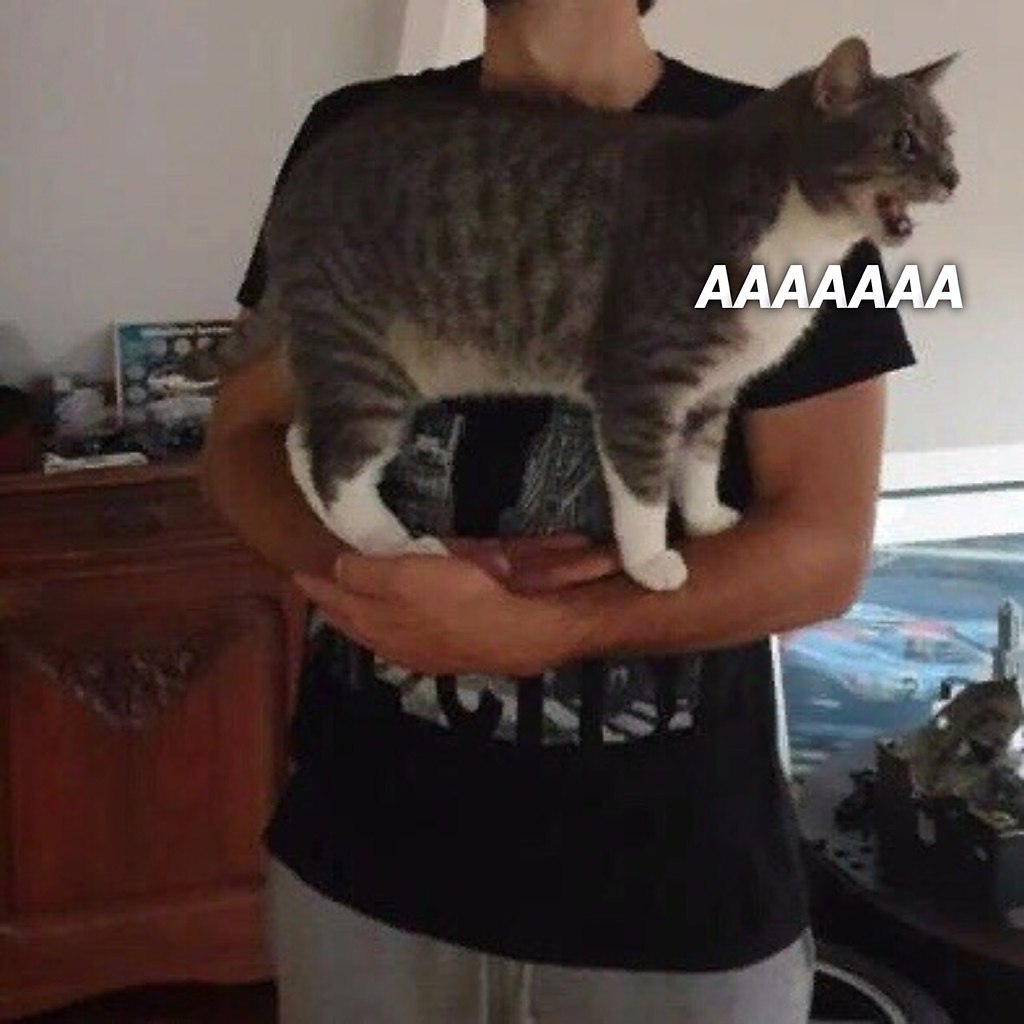 -  ? - . -     ? -    - 2