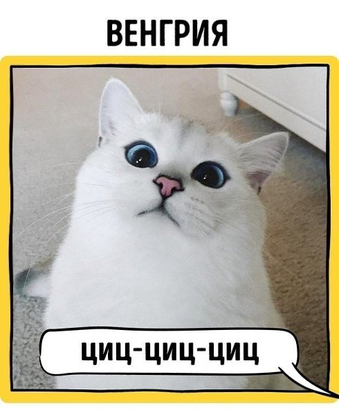       - 2