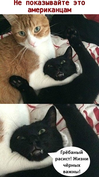 ������ - 7 ���� 2020 � 18:40