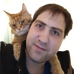 �����, �����-���������, 37 ���