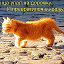 ���� �����, �����, 30 ��� - ��������� 19 ����� 2020