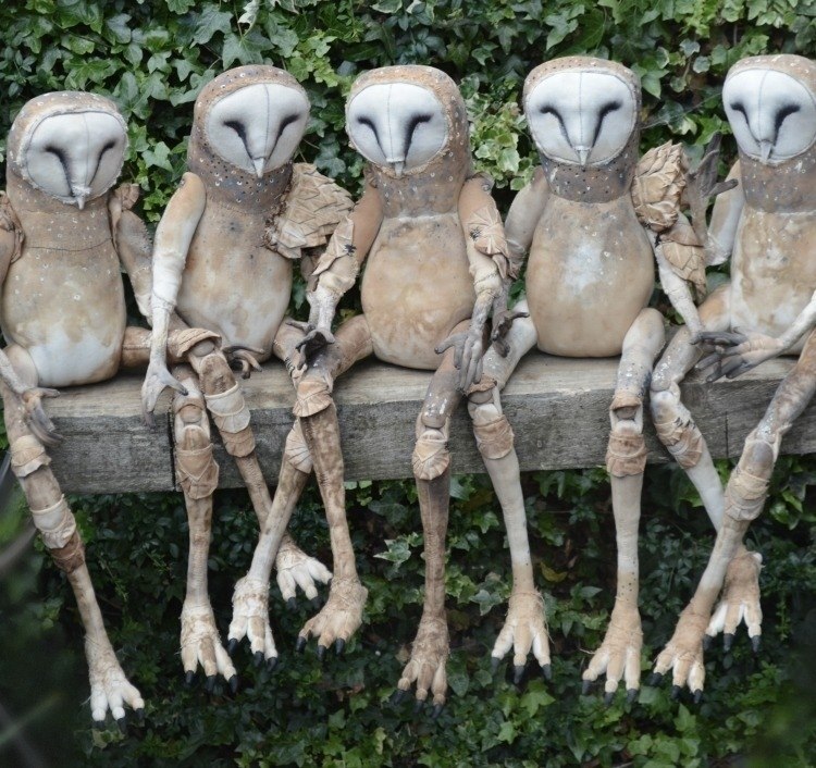 , o e co po a -   (istr Finh).*p I* - 5