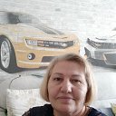 ���� �������, �����������, 66 ��� - ��������� 3 ��� 2020 � ������ ���� ����������