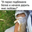 ���� ������, ����������, 56 ��� - ��������� 18 ������ 2020