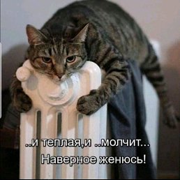 ���� ���������, ����������, 62 ���� - ��������� 3 ���� 2020