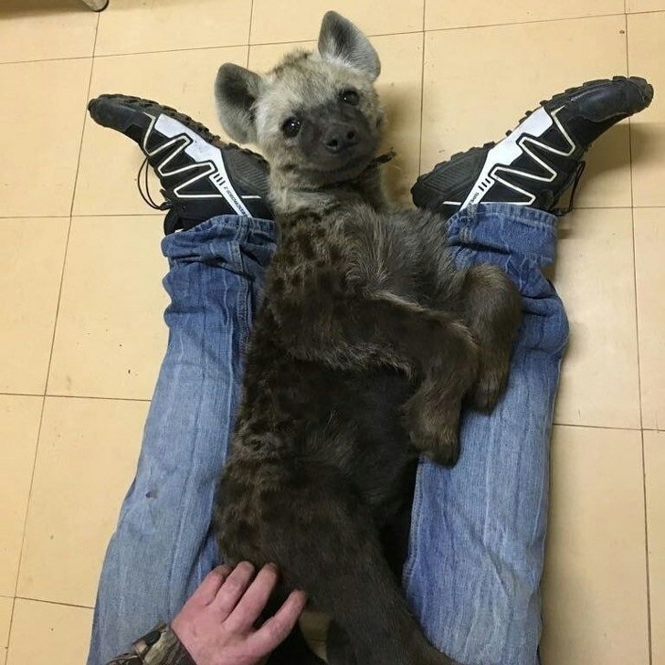 :  ,         .  ... - 3