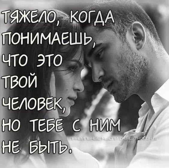  ,    ,    online  , ,   : ...