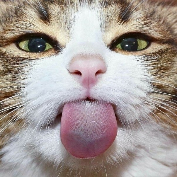     .   !   ) - 7