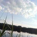 ���� ������, �����������������, 44 ���� - ��������� 6 ������ 2020 � ������ ���� ����������