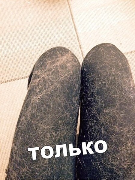Жиза Это ж любимый кот старается, чтоб мне теплее было - 2