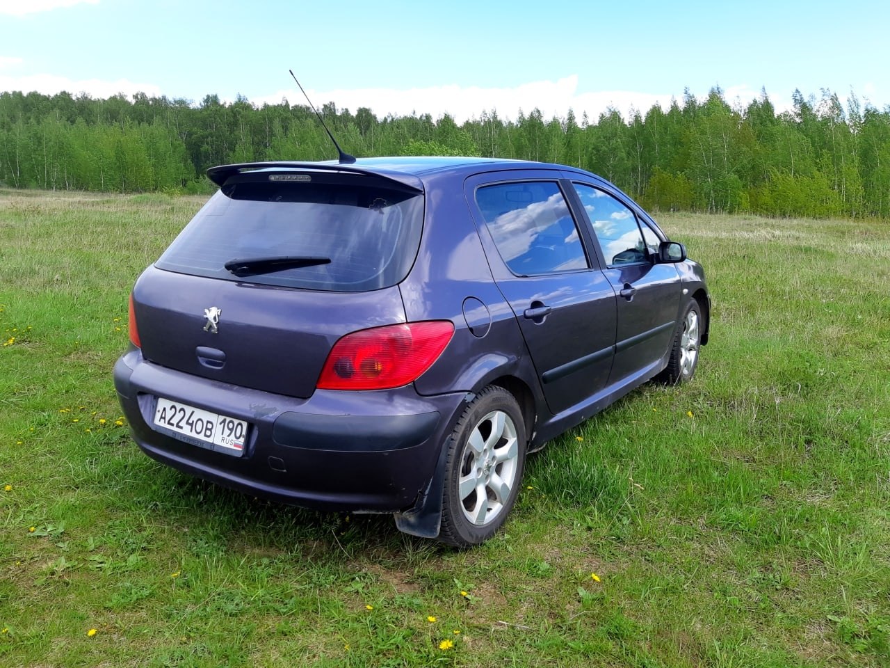     .      . Peugeot 307, 1.6  ... - 4