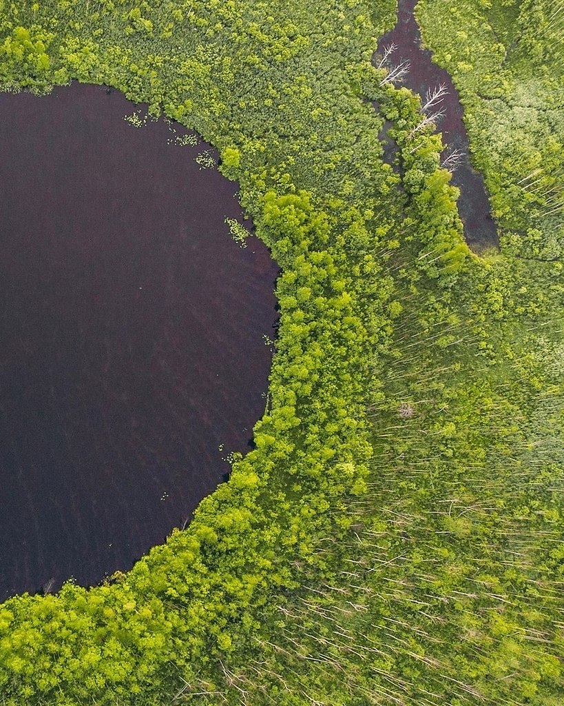 Бездонное озеро в Солнечногорске - загадочное место Московской области. DJI Mavi