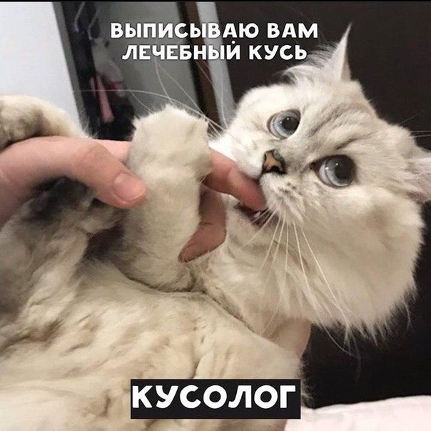         ?)) - 5