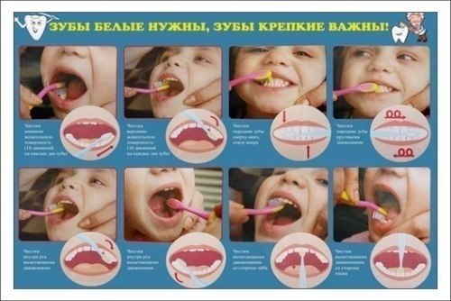 Как правильно чистить зубы детям? с какого возраста нужно начинать чистить зубы детям? Над вопросами ...