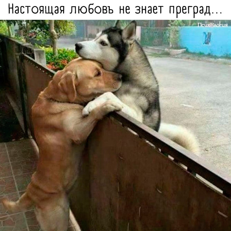  - 27  2020  18:49