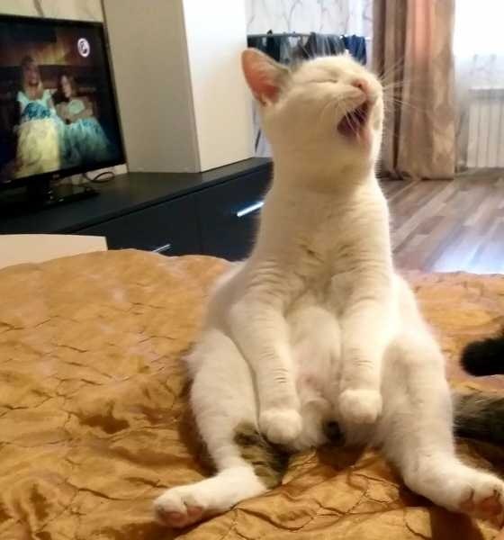    9   ,     5 