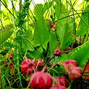 ���� ���������, �������, 57 ��� - ��������� 30 ���� 2020 � ������ ������ ��������