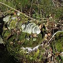 ����� �� ��������� ������... �� ������� ������