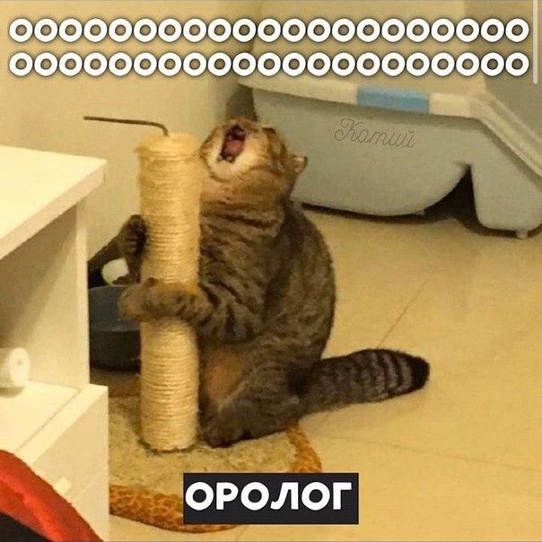         ?)) - 6