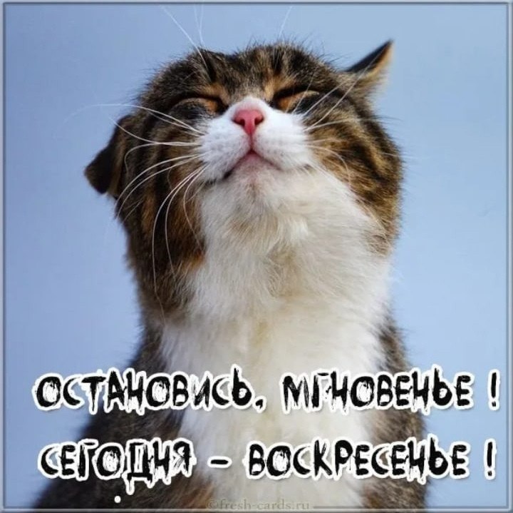 ***Victoria Viktorovna*** - 26  2020  14:44