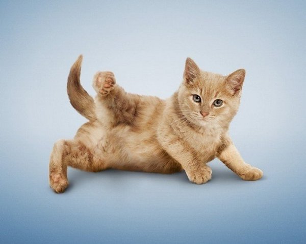 -6    . 1. .         ... - 5