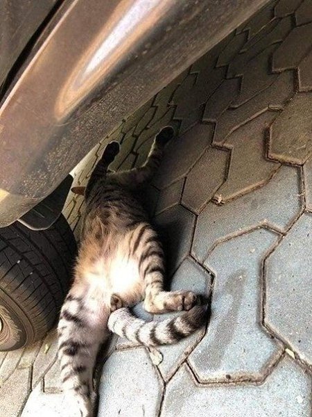    :          - 3