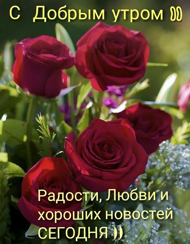   ,    . - 27  2020  22:29 - 4