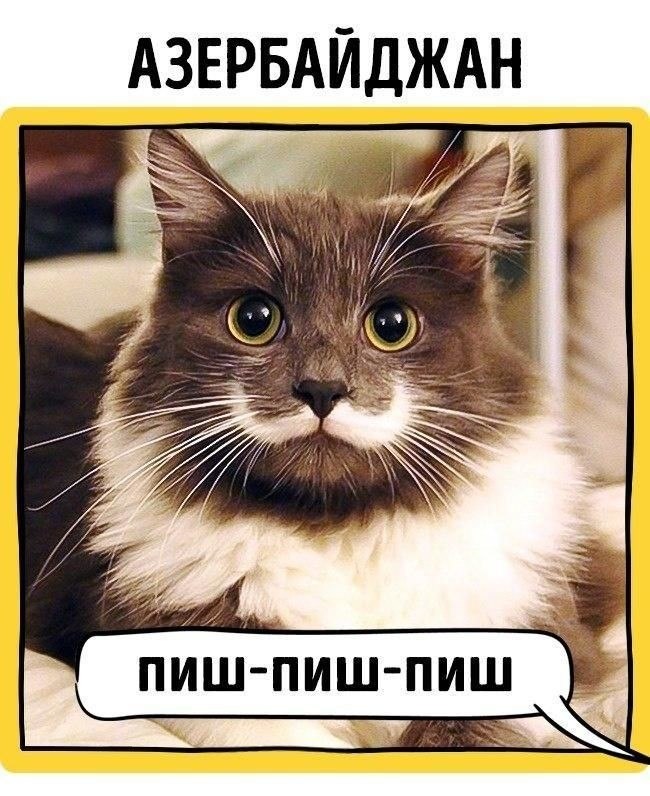  ,         .  - 2