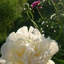  , , 41  -  23  2020      )))