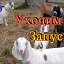 ���� �������, ����������-���������, 45 ��� - ��������� 30 ��� 2020 � ������ ������ ��������