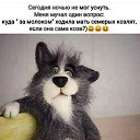 ���� ������, ����, 54 ���� - ��������� 30 ������ 2020 � ������ ���� ����������