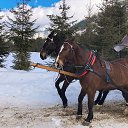 ���� �����, ������, 29 ��� - ��������� 18 ����� 2020 � ������ �Zakopane. Poland�