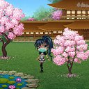 ���� ������, ������ - ��������� 3 ������ 2020 � ������ �Tropikania�