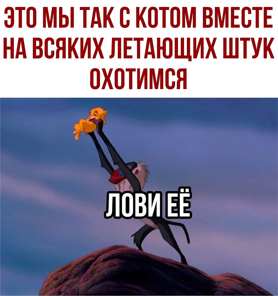  - 18  2020  19:29