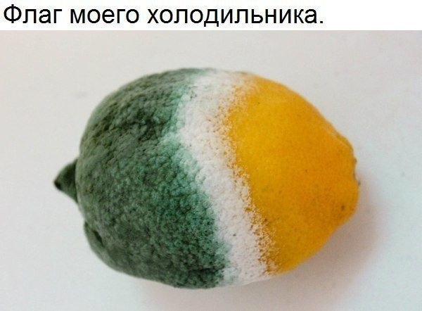 ������� - 11 ������� 2020 � 19:12
