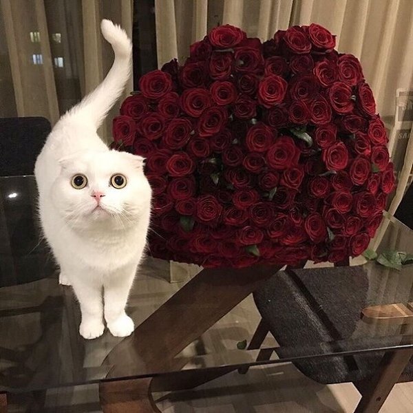   ???