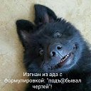 ���� ����, ������-��-����, 62 ���� - ��������� 27 ��� 2020 � ������ ������ ��������