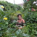 ���� ��������, ���������� - ��������� 2 ���� 2020 � ������ ���� ����������