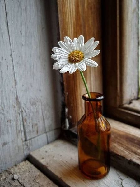   ...    -   ...    - ...
