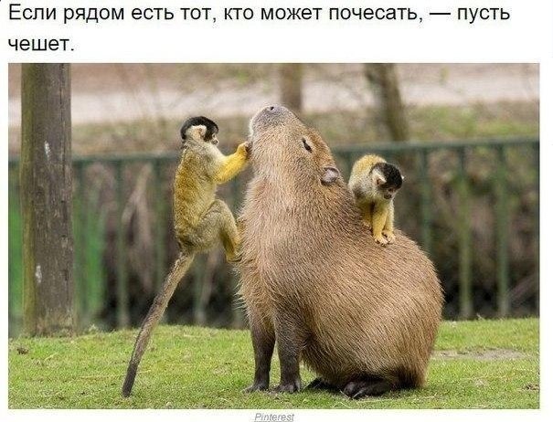 ea, o aa ea aaca oco ...
